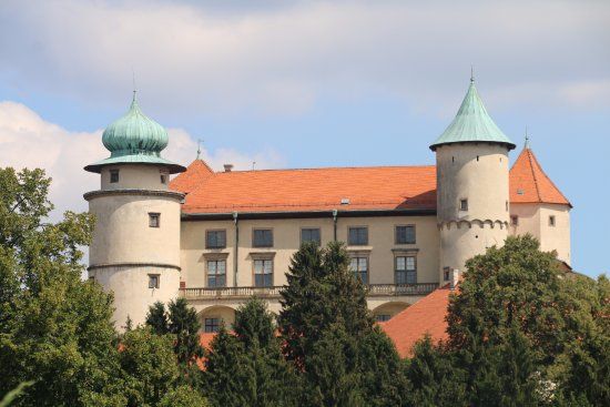 Zamek w Wiśniczu